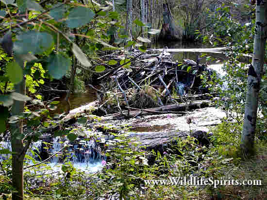 Click Picture to send as an  E-PostCard 66k 550x412